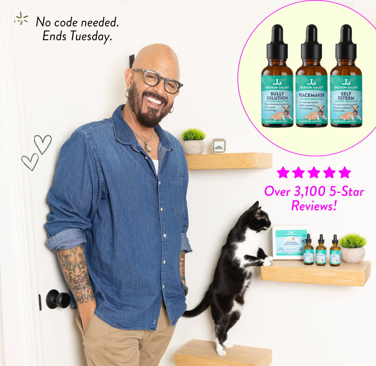 Shop 20% Off Behavior Solutions