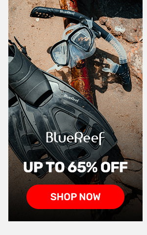 Blue Reef
