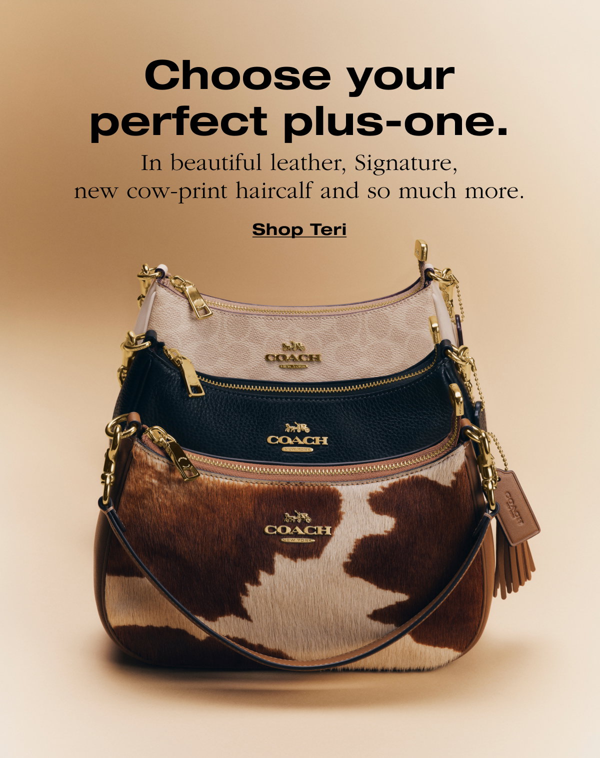 Choose your perfect plus-one. In beautiful leather, Signature, new cow-print haircalf and so much more. Shop Teri