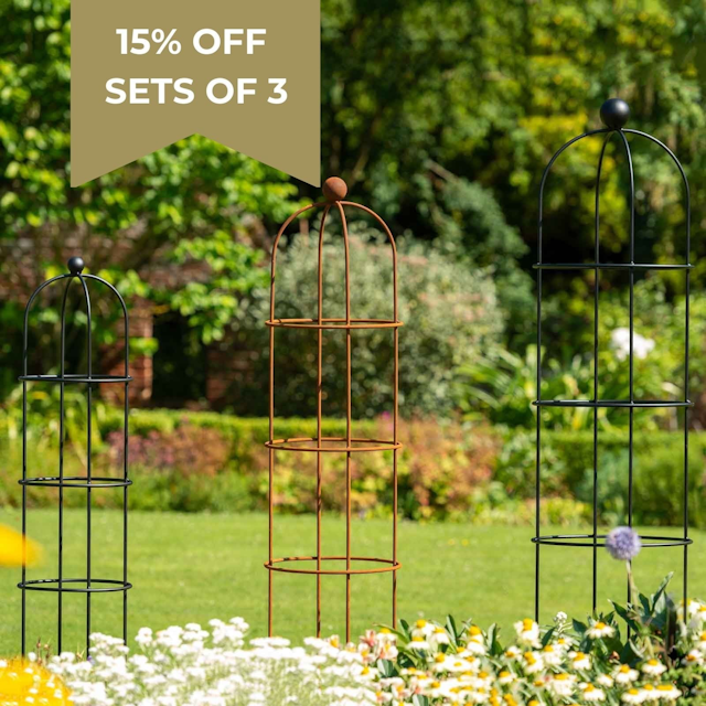 Vintage Wire Round Garden Obelisk - Matt Black or Natural Rust - Harrod Horticultural - Large 2.05m High - Natural Rust - ARC-228