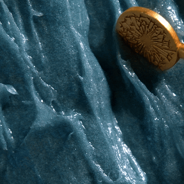 the blue cocoon with the dandelion wand