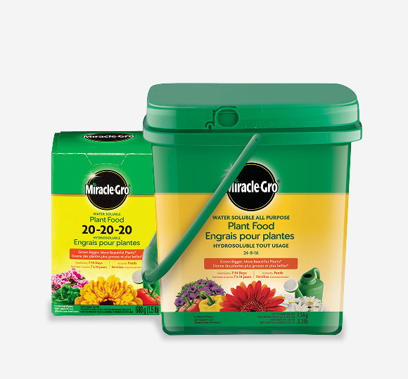 SAVE 25%* MIRACLE GRO Water Soluble Fertilizers