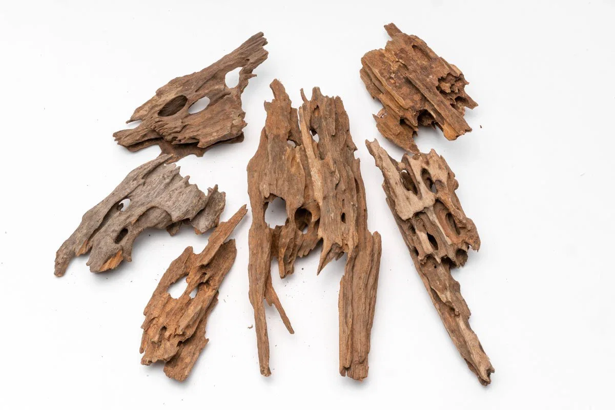 Image of Dragon Wood