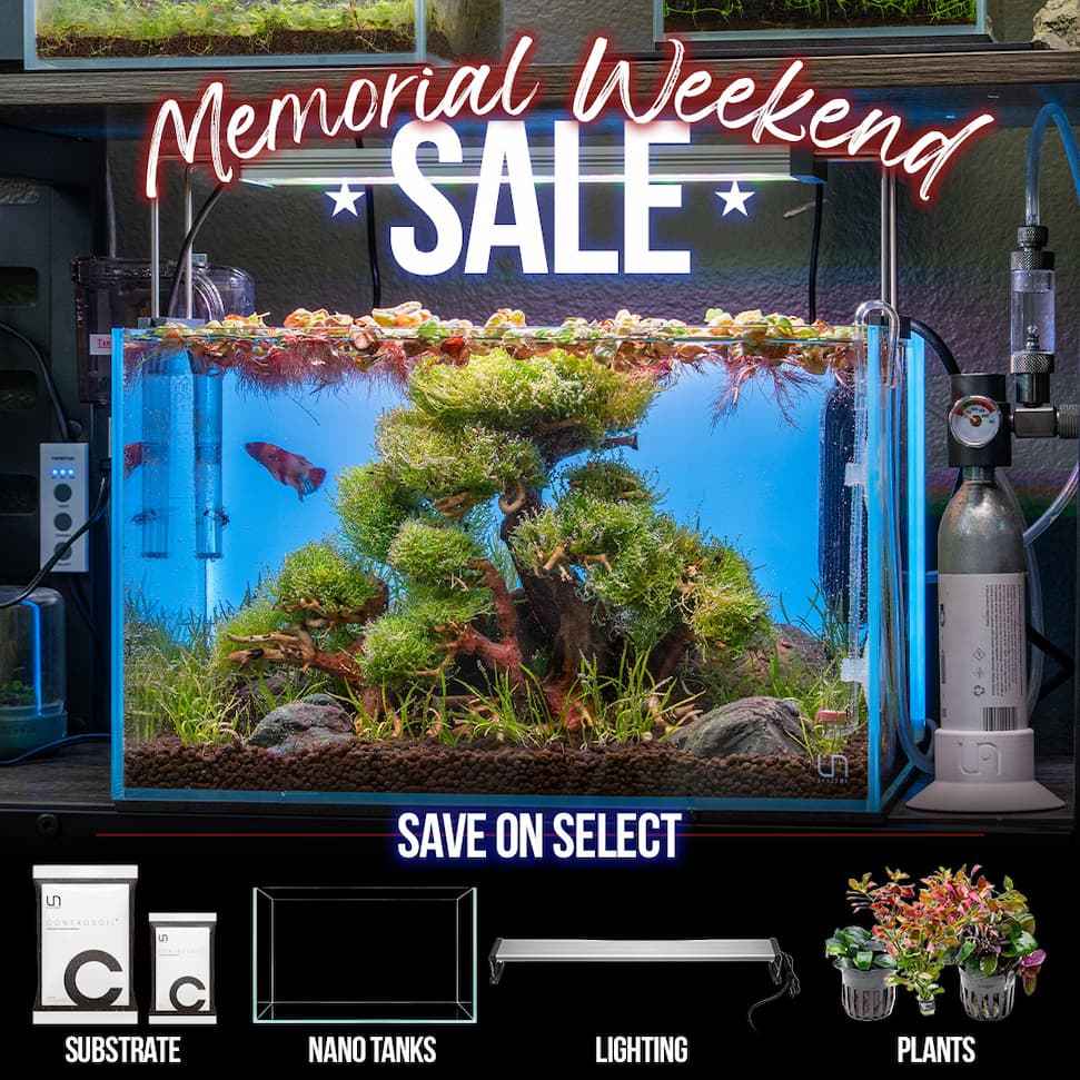 Memorial Day Weekend Sale