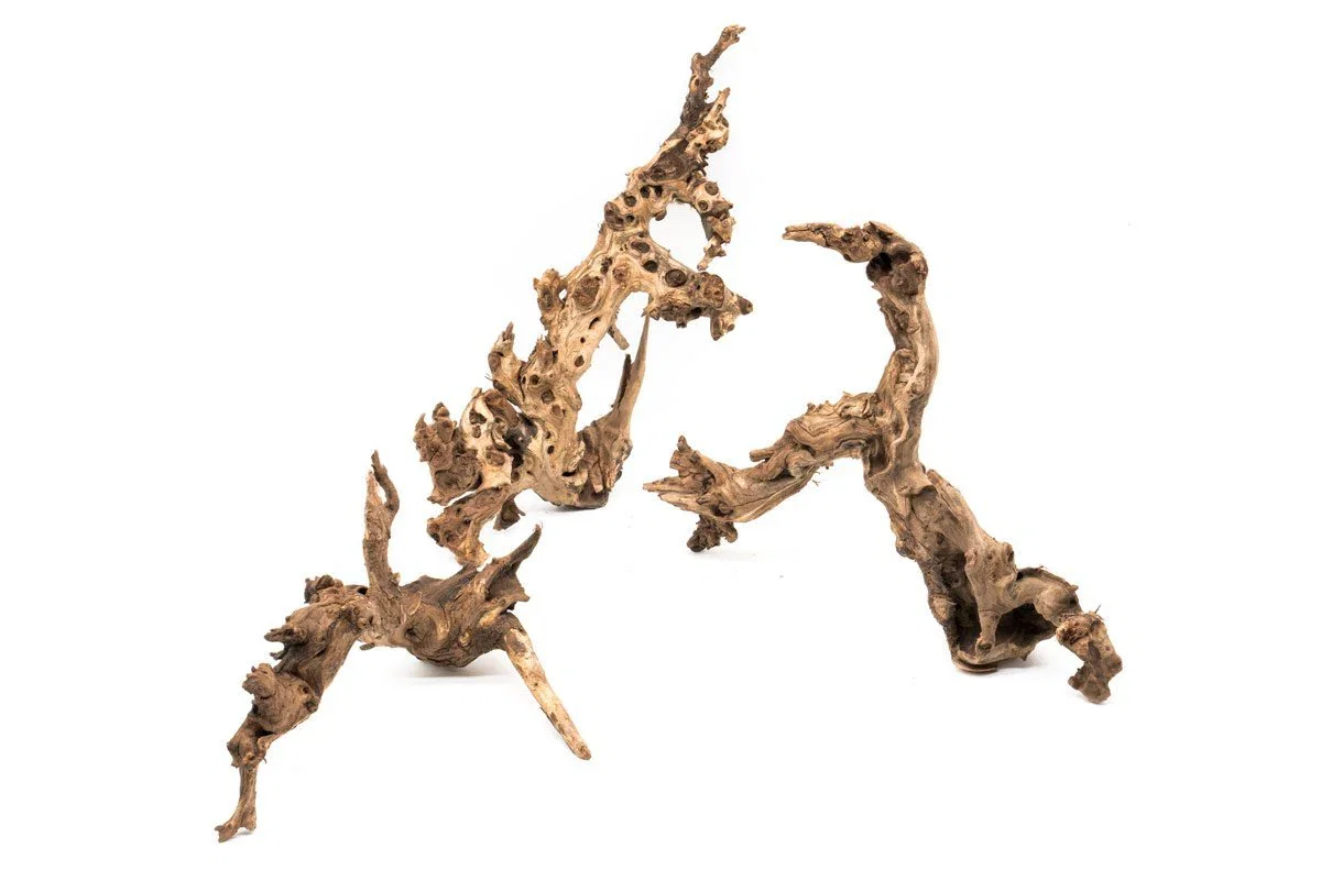 Image of Amazon Wood