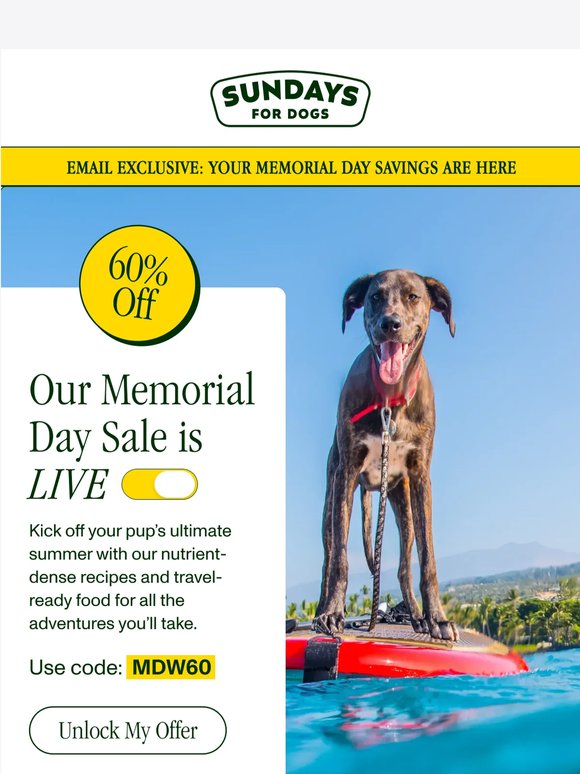 Our Memorial Day Sale is LIVE 🐶