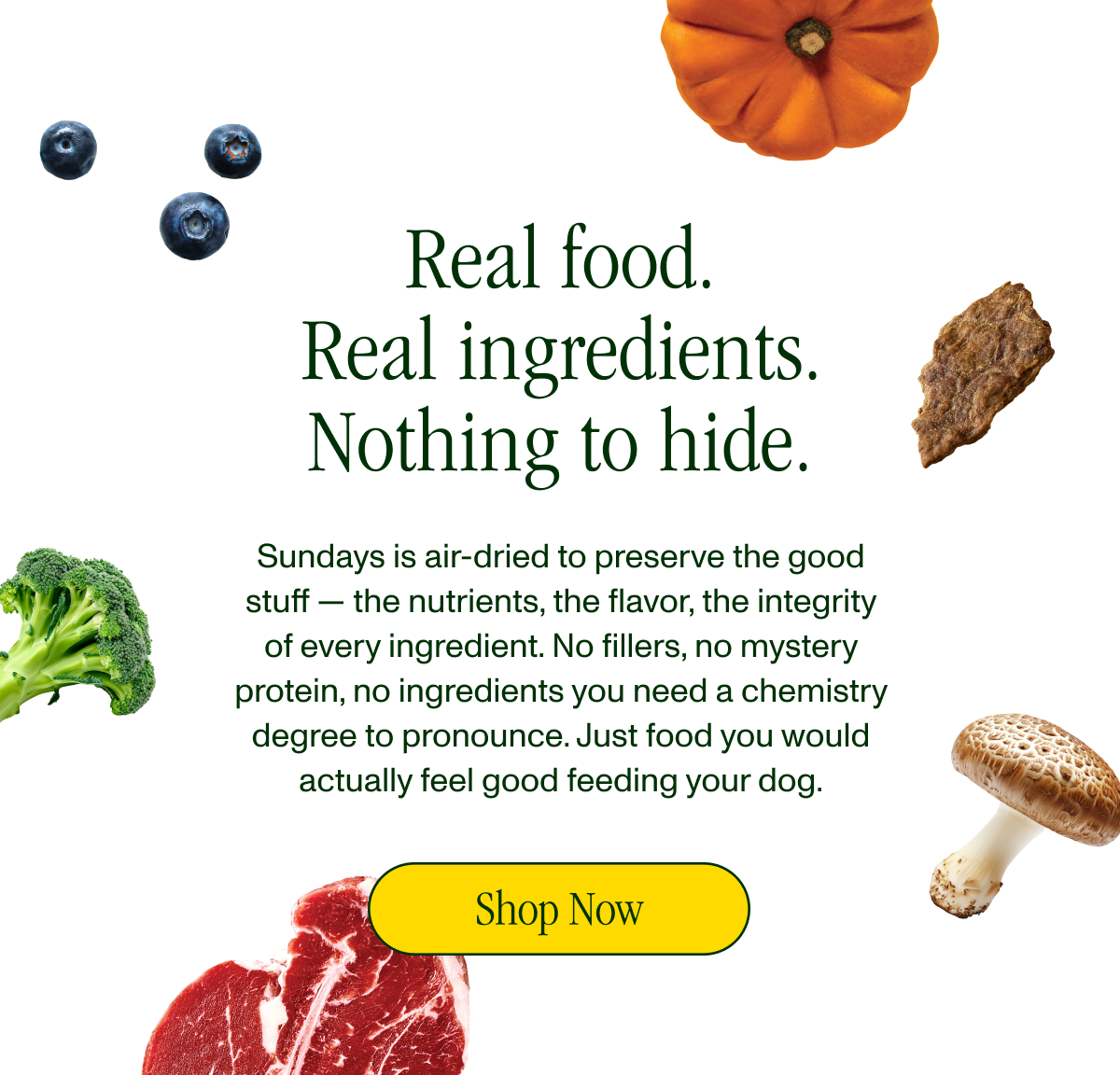 Real food. Real Ingredients. Nothing to hide.