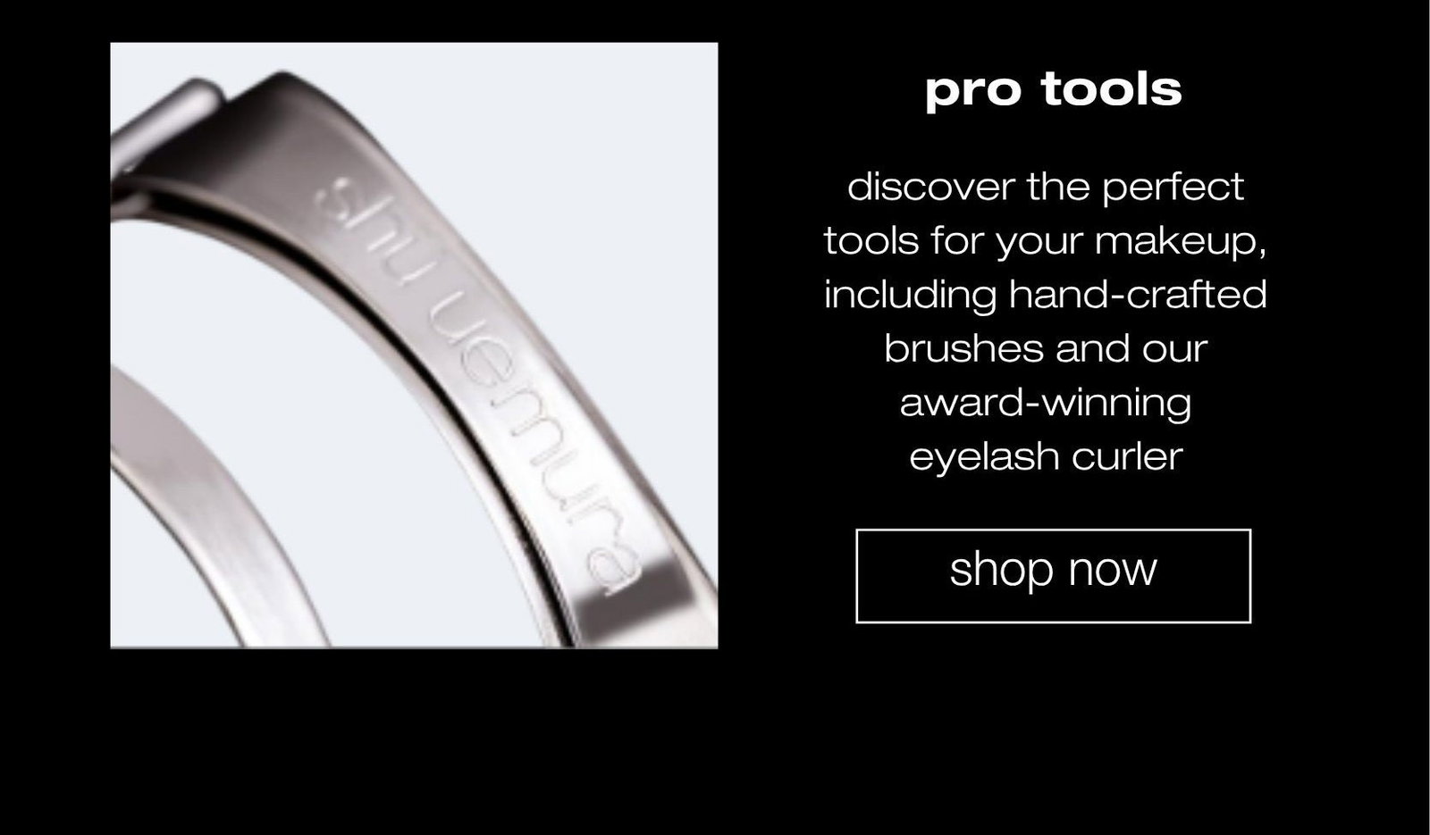 shop now