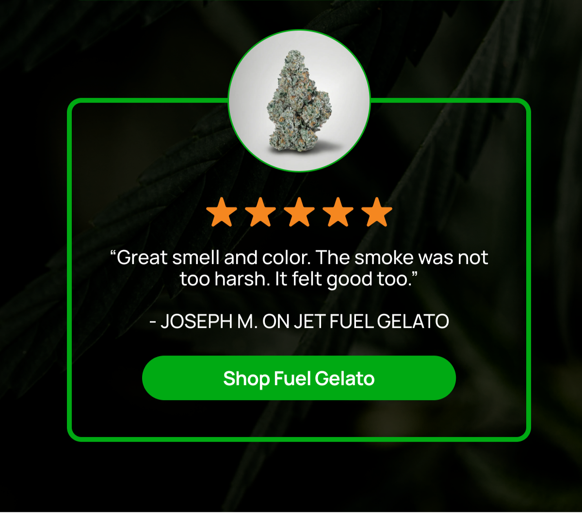 Shop Fuel Gelato