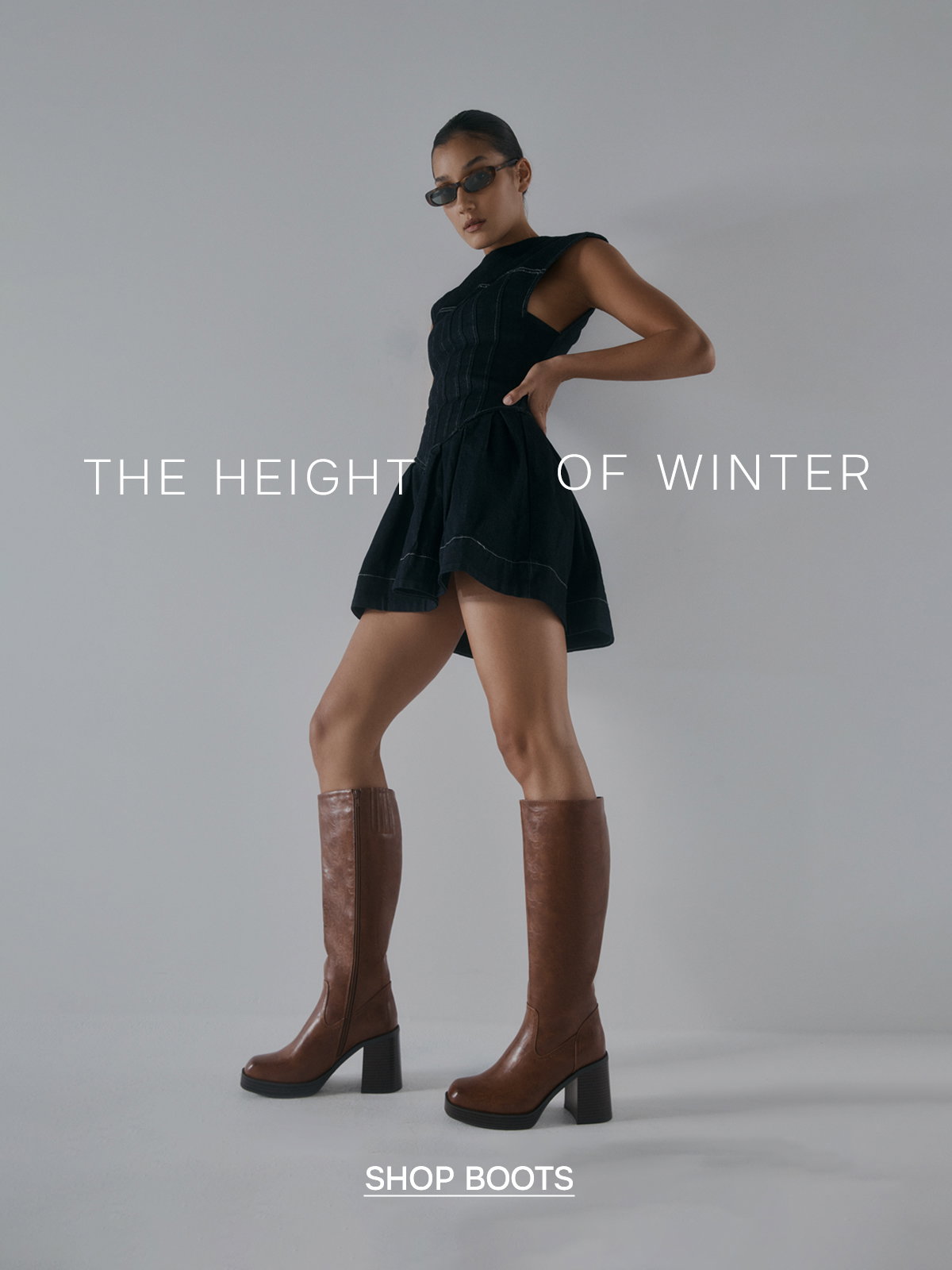THE HEIGHT OF WINTER