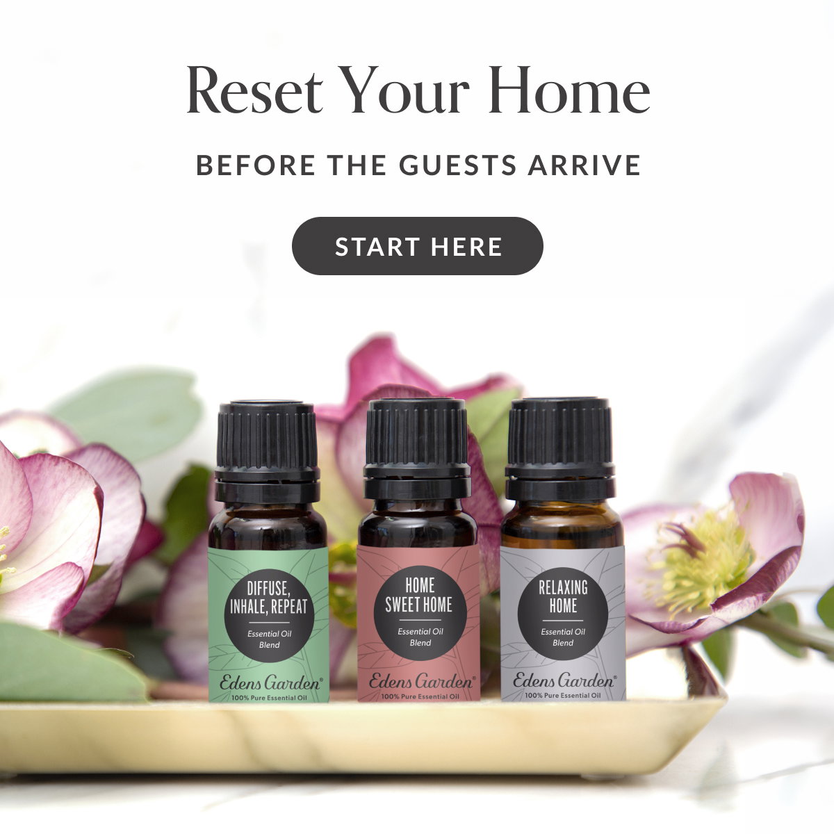 Reset Your Home BEFORE THE GUESTS ARRIVE | START HERE