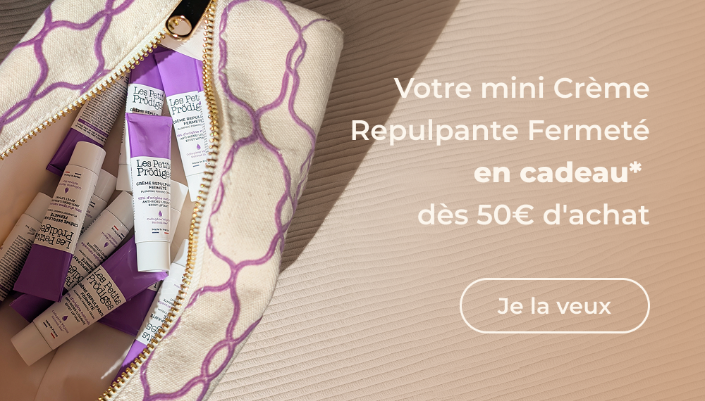 Chargement en cours...