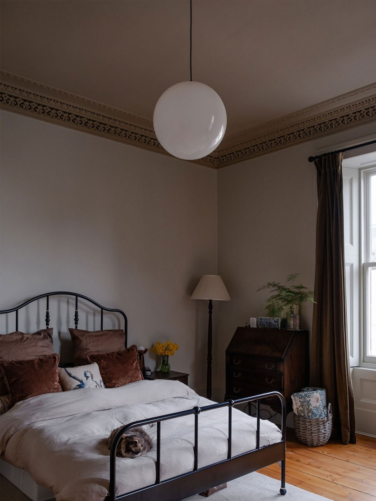 Softly lit bedroom with taupe walls, a black metal bed, brown velvet cushions, and a cat curled up on the duvet.
