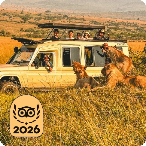 Descripción de la imagen: Varias personas en un jeep rodeado de leones. En la imagen hay una medalla dorada de Lo mejor de lo mejor de Travellers' Choice de 2026.
