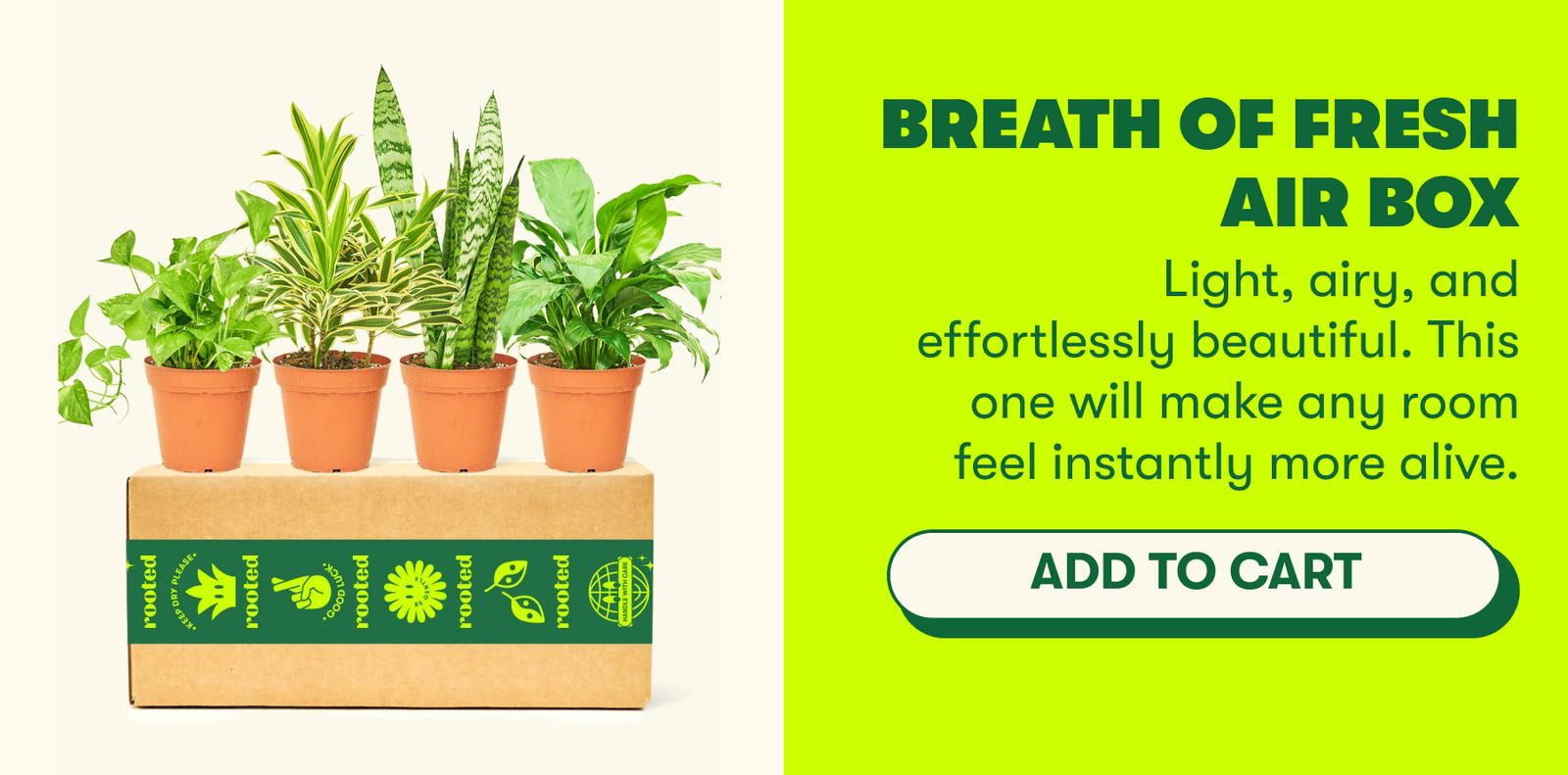 breath of fresh air