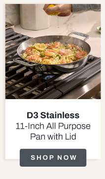 D3 Stainless 11 inch all purpose pan with lid