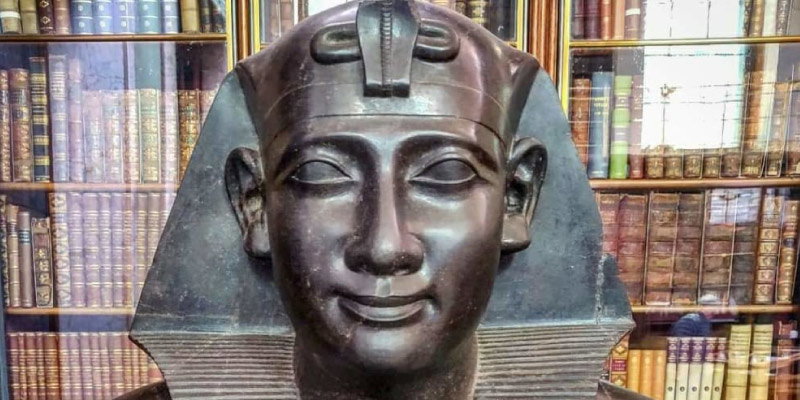 Crash Course in Archaeology at the British Museum £75