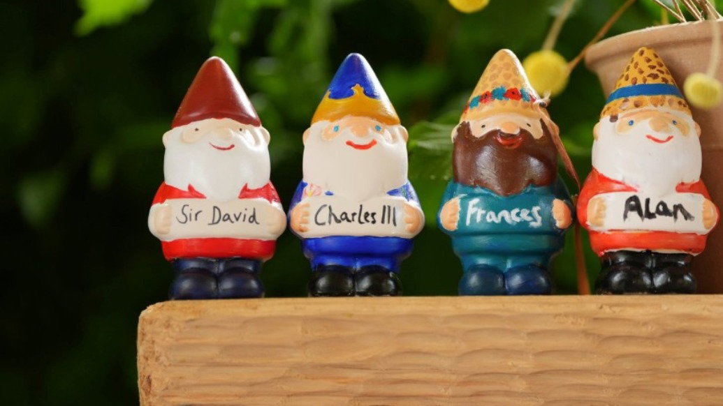 Four gnomes lined up on a wooden slab in an assortment of colours. Each one has a different name written on his belt in black ink, including one with ‘Sir David’ and one with ‘Charles III’. The background is out of focus and features green foliage at the top and a brown plant pot behind the group of gnomes to the right.
