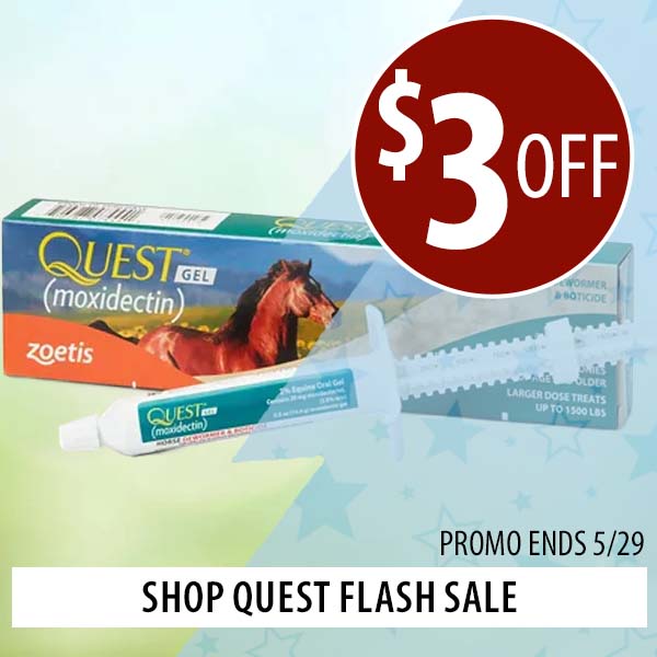 Quest Flash Sale—$3 Off!