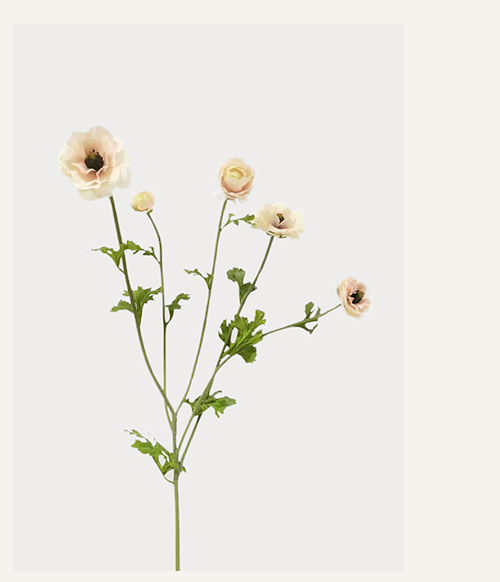 Light Cream Faux Ranunculus Flowers 