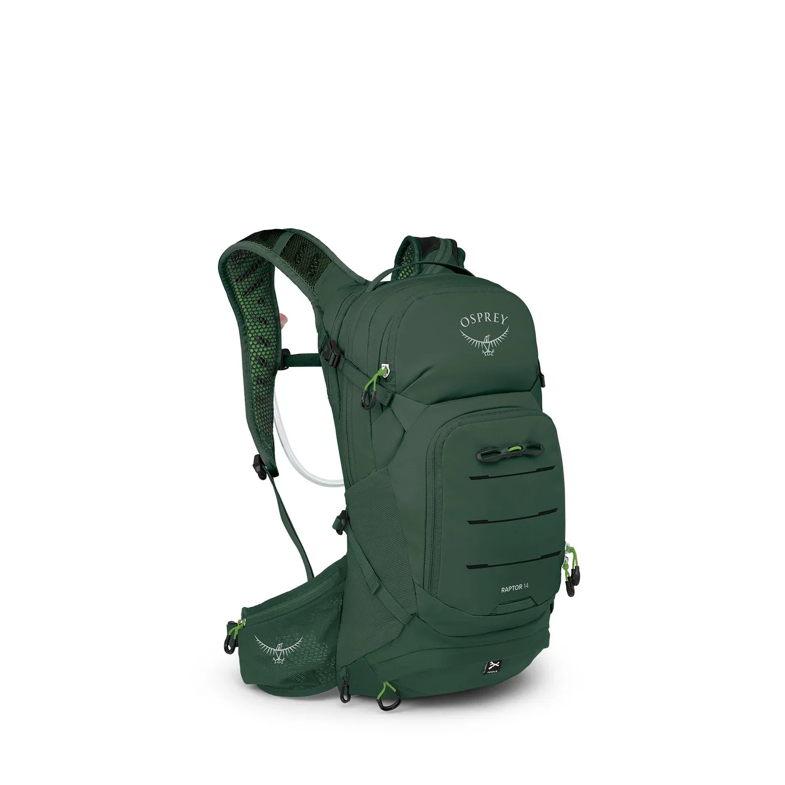 Image of Raptor 14