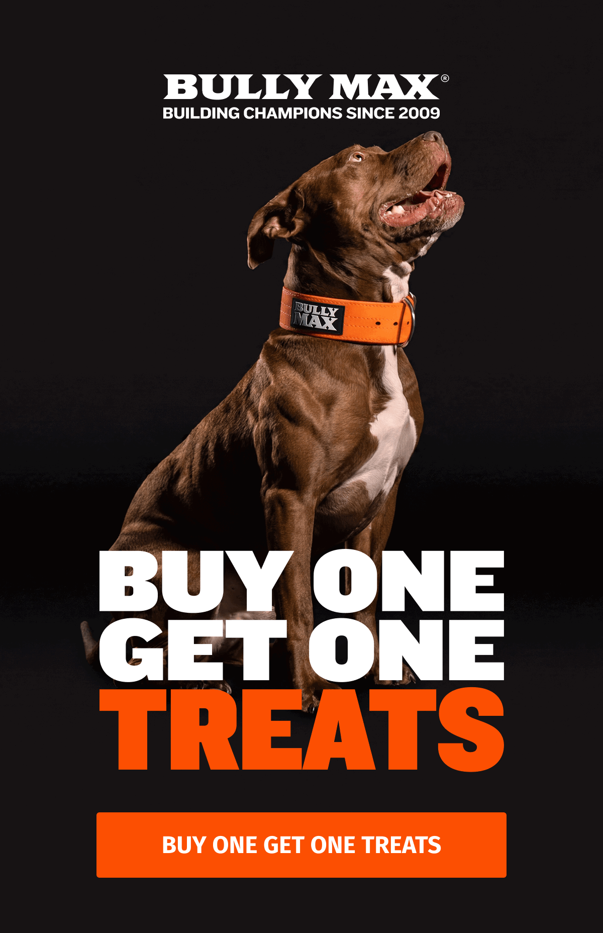 Buy One Get One Treats