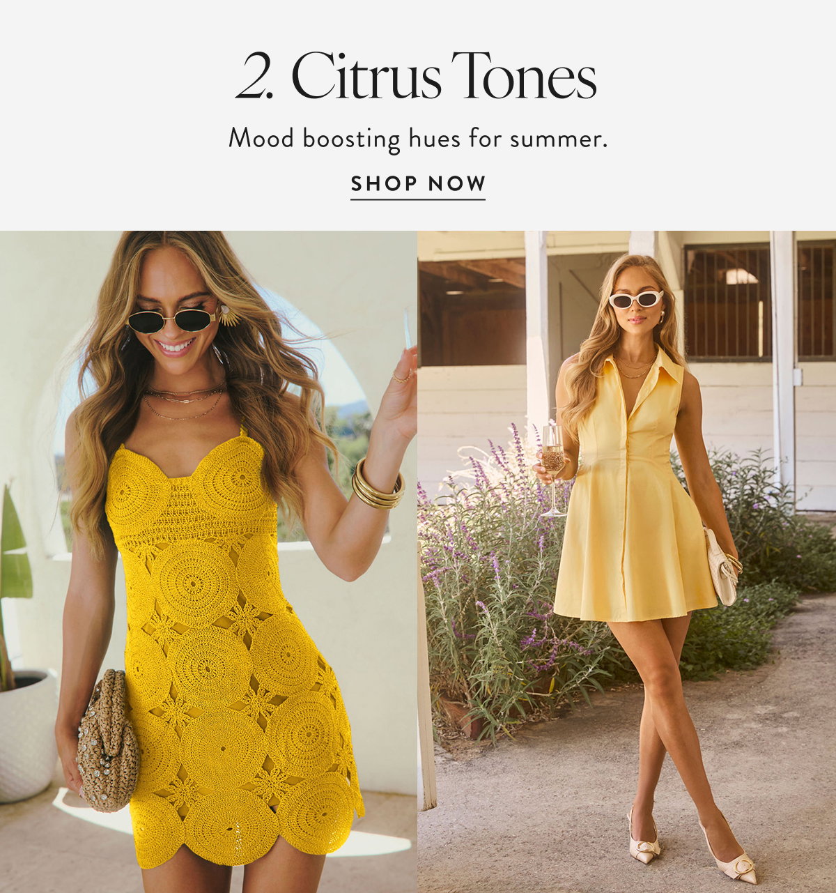 Citrus Tones. Shop Now