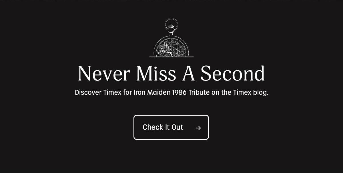 Check It Out - Timex