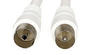 Image Article
