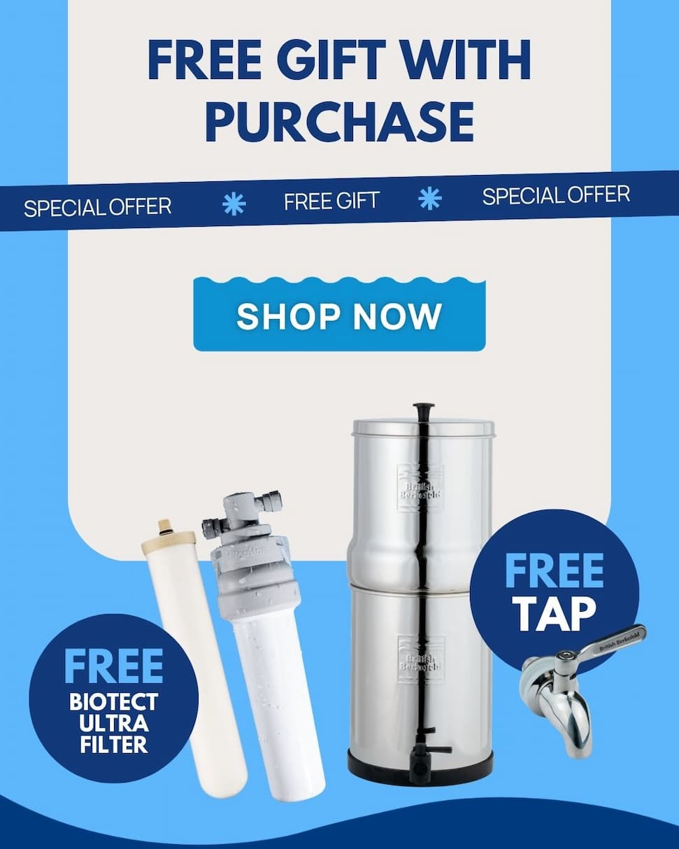 Free Gift With Purchase