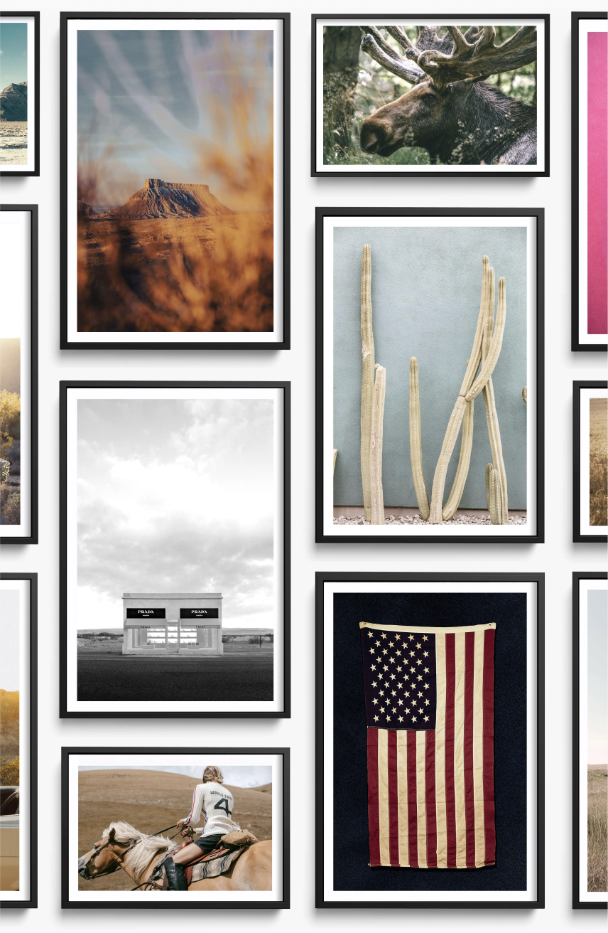 Shop the Memorial Day Sale!