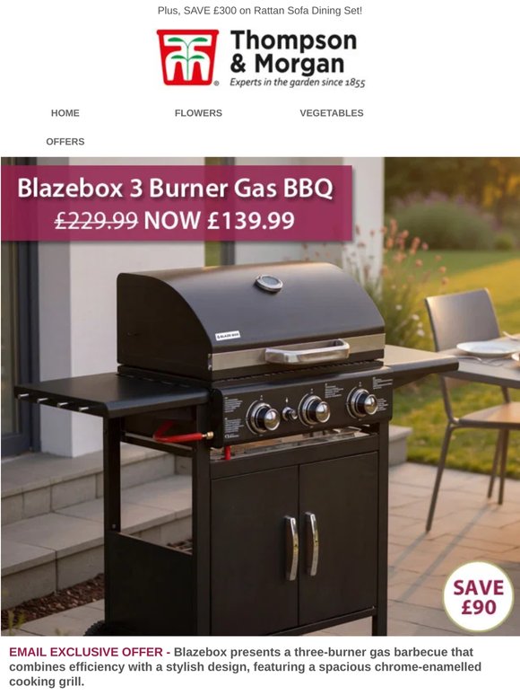 Save £90 on the Blazebox 3 Burner BBQ🔥