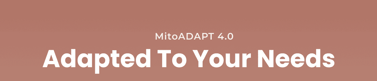 MitoADAPT 4.0: Adapted To Your Needs