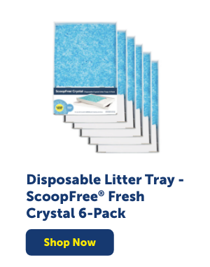 Shop ScoopFree Crystal Litter Trays 6-Pack