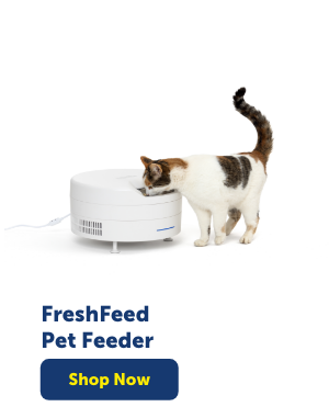 Shop FreshFeed Refrigerated Pet Feeder