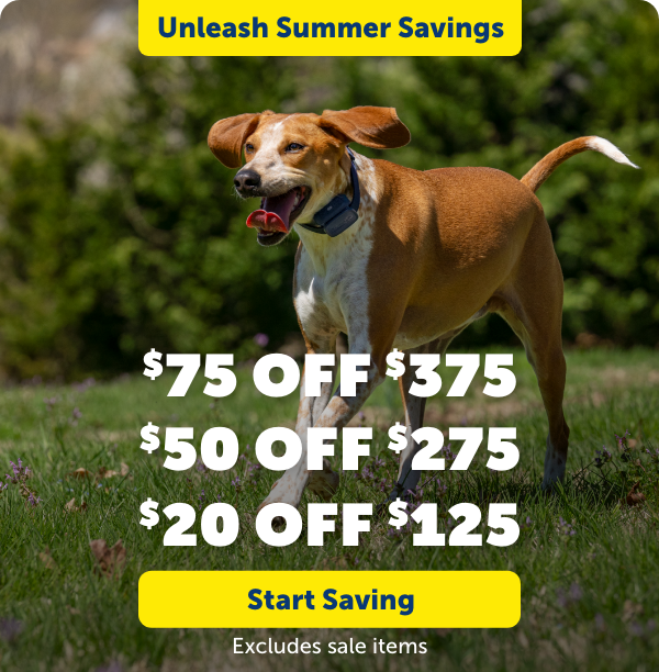 Start Saving: $75 off $375, $50 off $275 or $20 off $125. Excludes sale items.