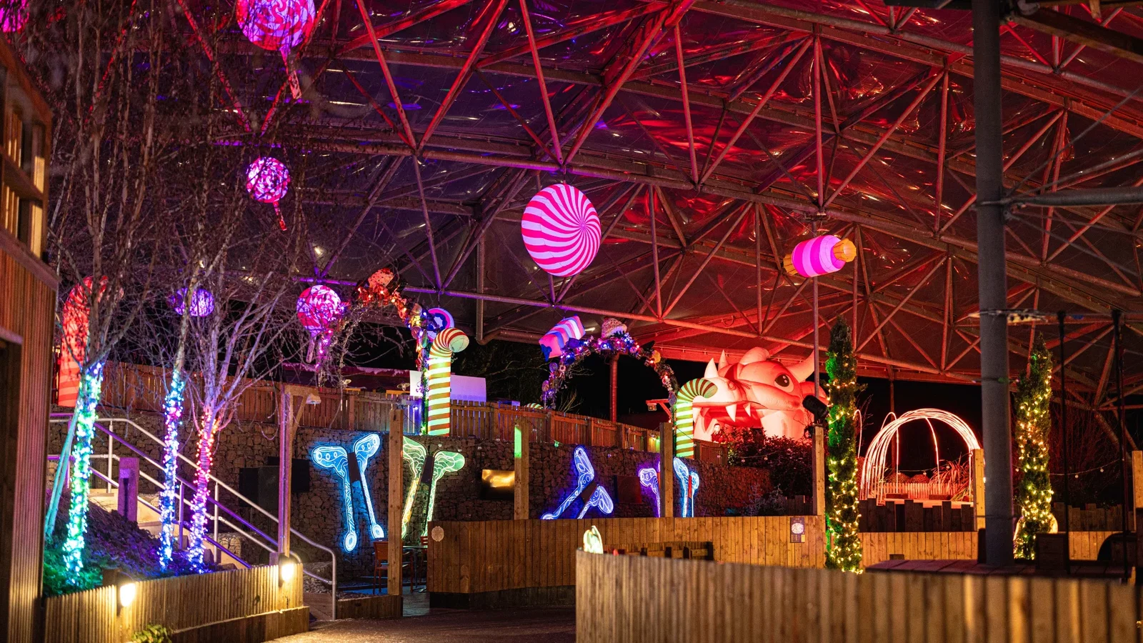 Winter light trail in the Serendome