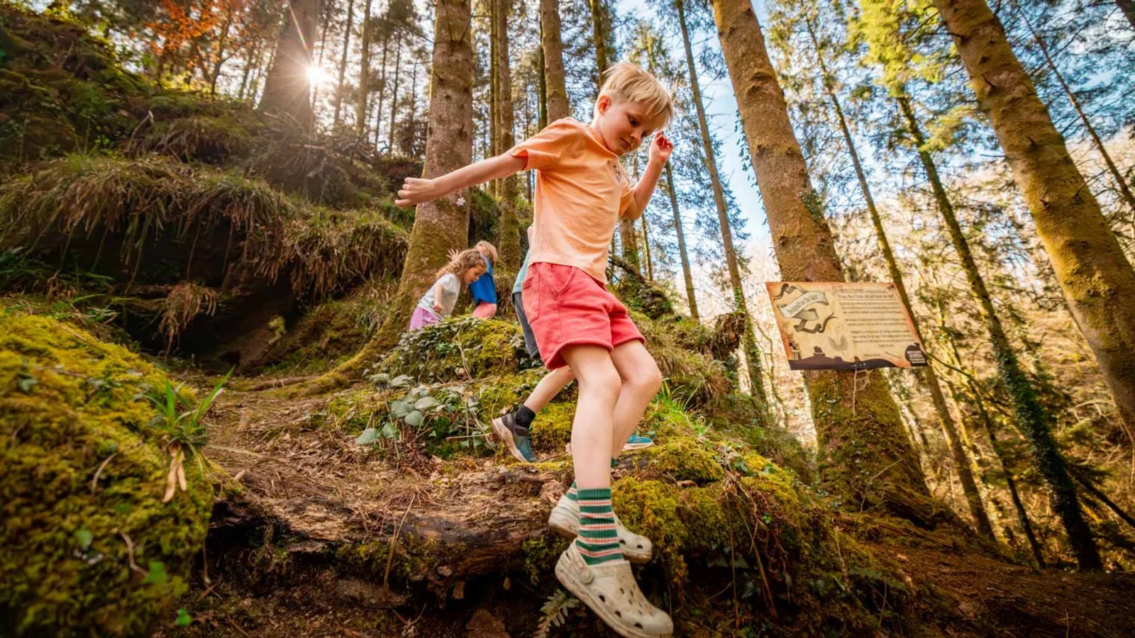 children playing in the woods at Bluestone