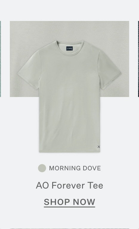 AO Forever Tee