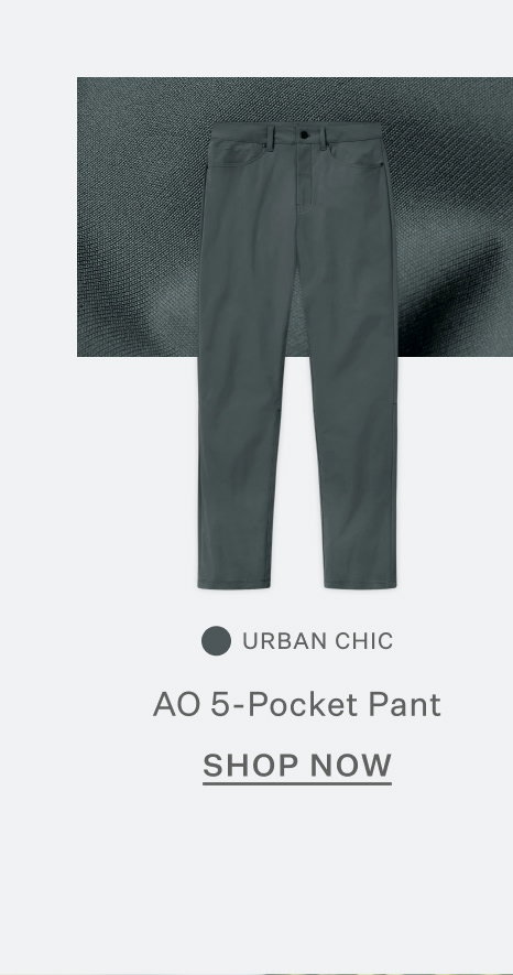 AO 5-Pocket Pant