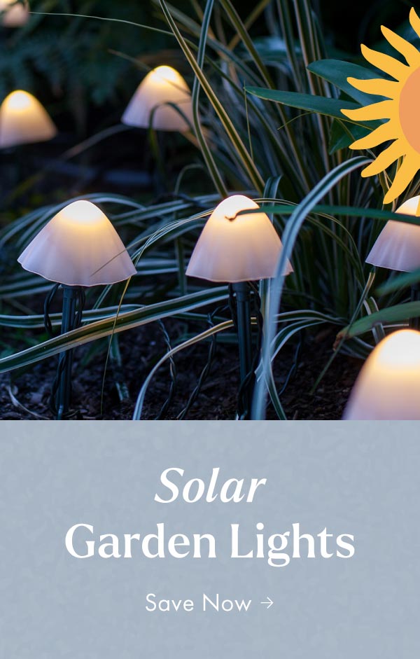 Solar Garden Lights