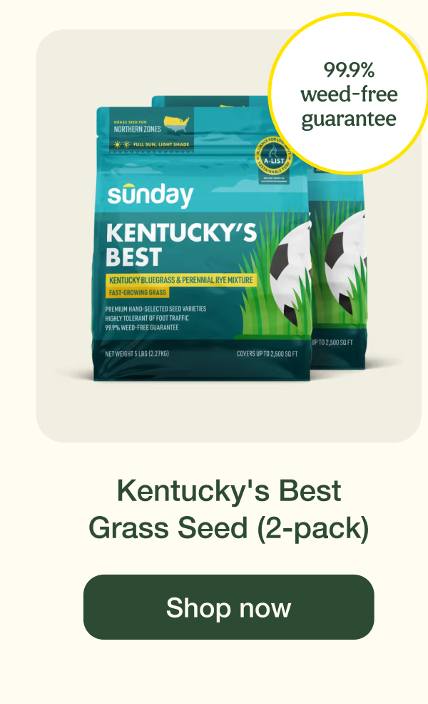 Kentucky's Best Grass Seed (2-pack) | Shop now