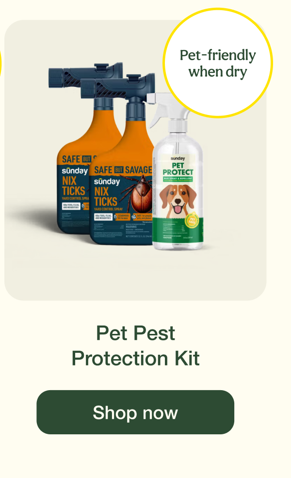 Pet Pest Protection Kit | Shop now