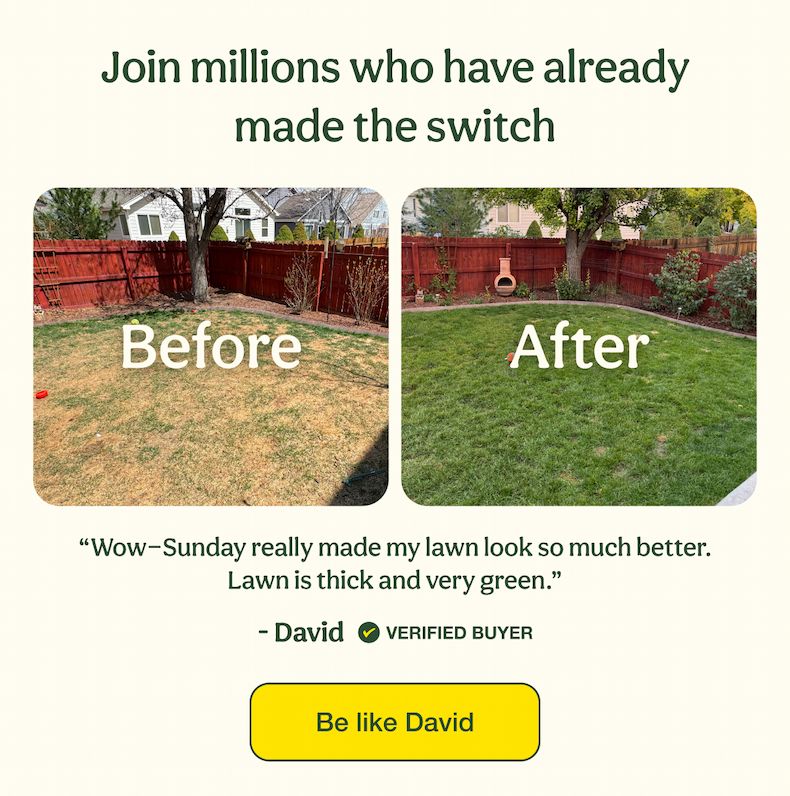 Join millions who have already made the switch | Be like David