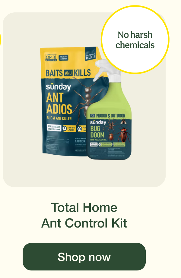 Total Home Ant Control Kit | Shop now