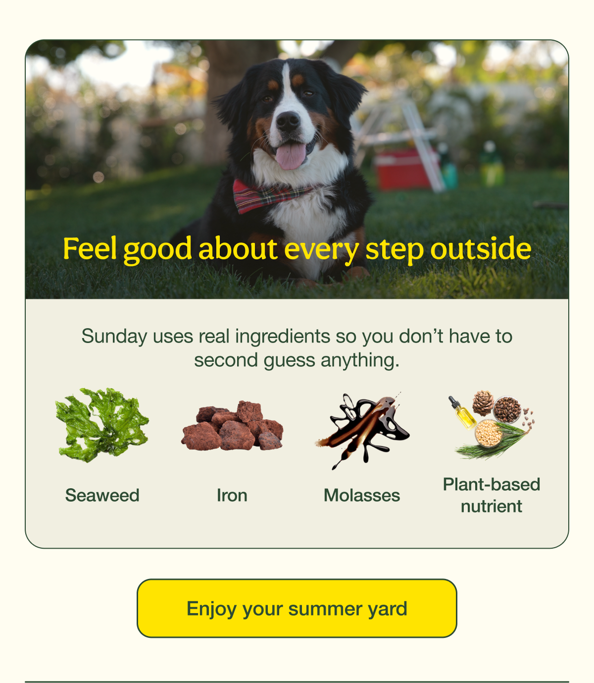 Feel good about every step outside | Enjoy your summer yard