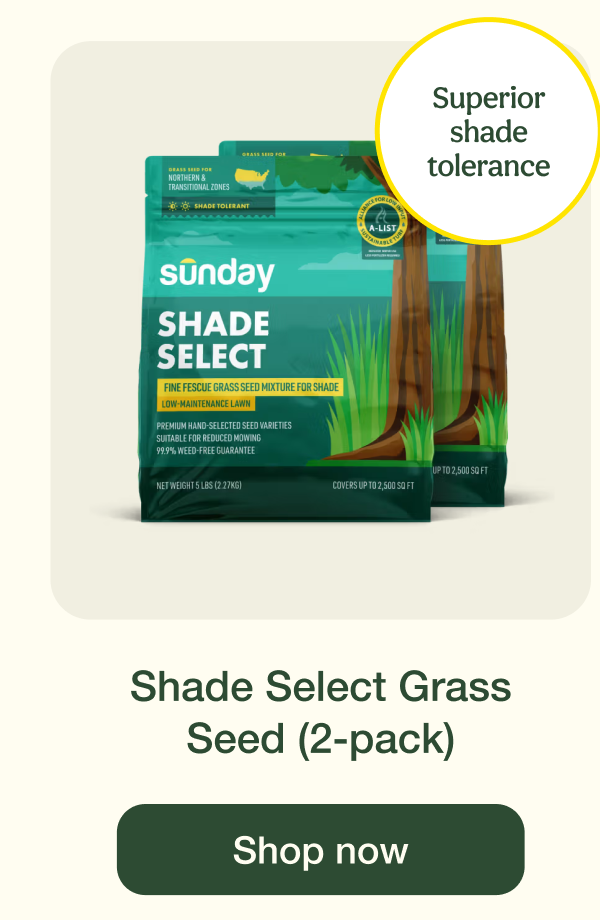 Shade Select Grass Seed (2-pack) | Shop now