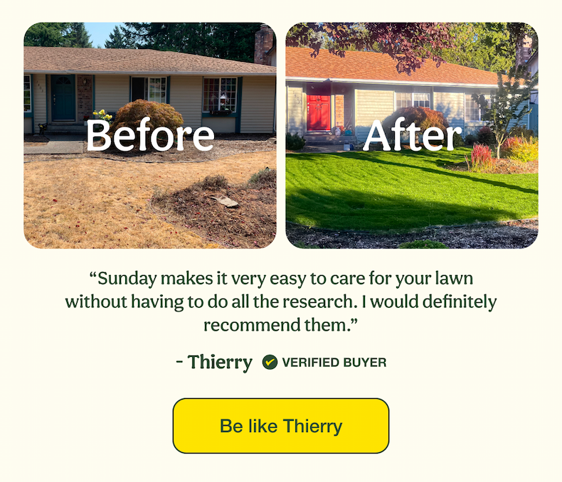 Be like Thierry