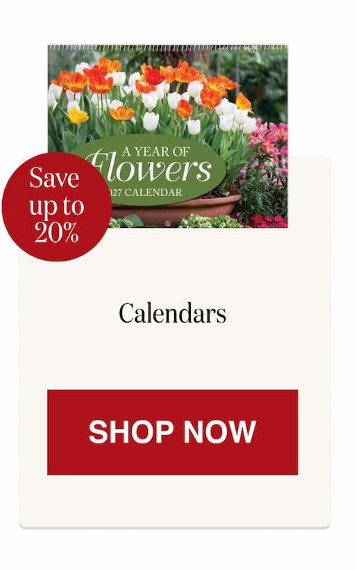 Calendars [Click here to Shop Now]