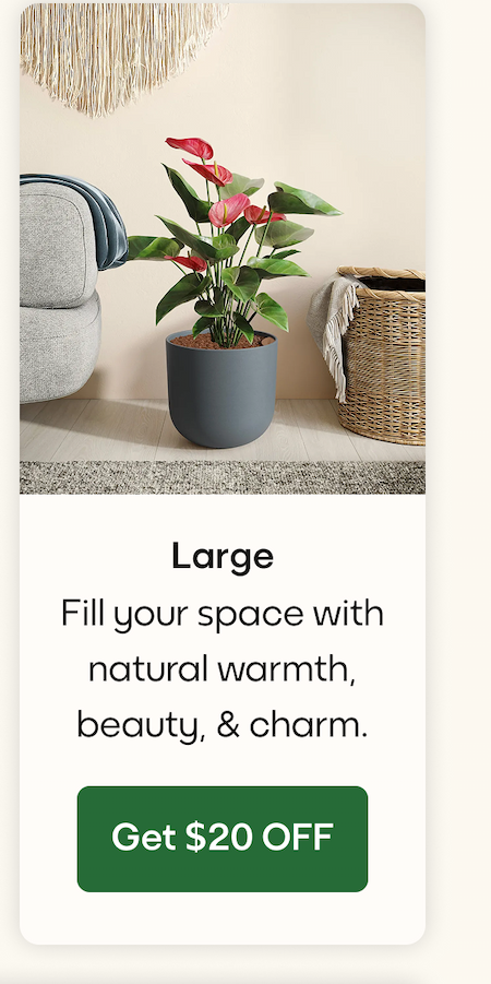 Large